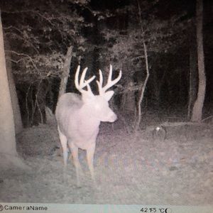 Meet your Posher, Brady